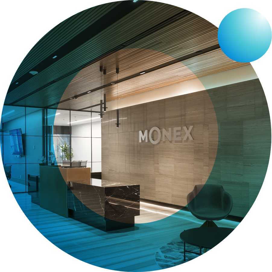 Acerca de Monex